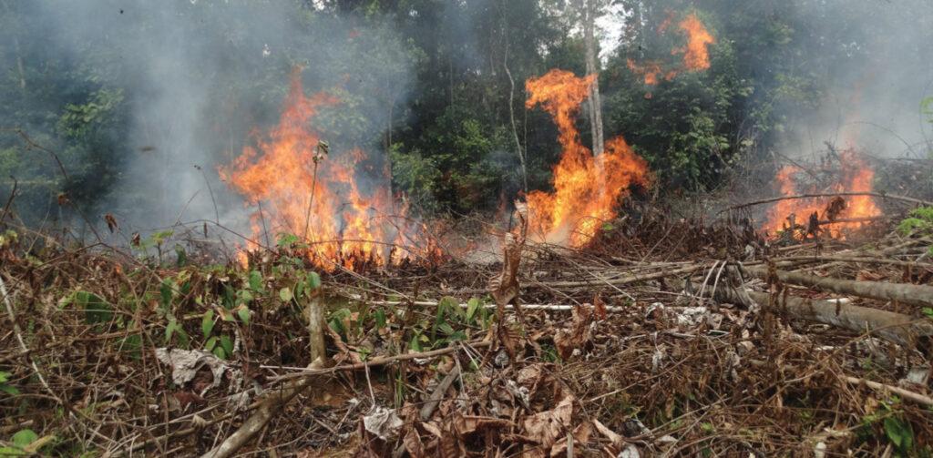 Report Illegal Dumping and Burning (Central Trinidad)